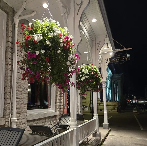 KINGSTON TRIP - Picture 14 of 14